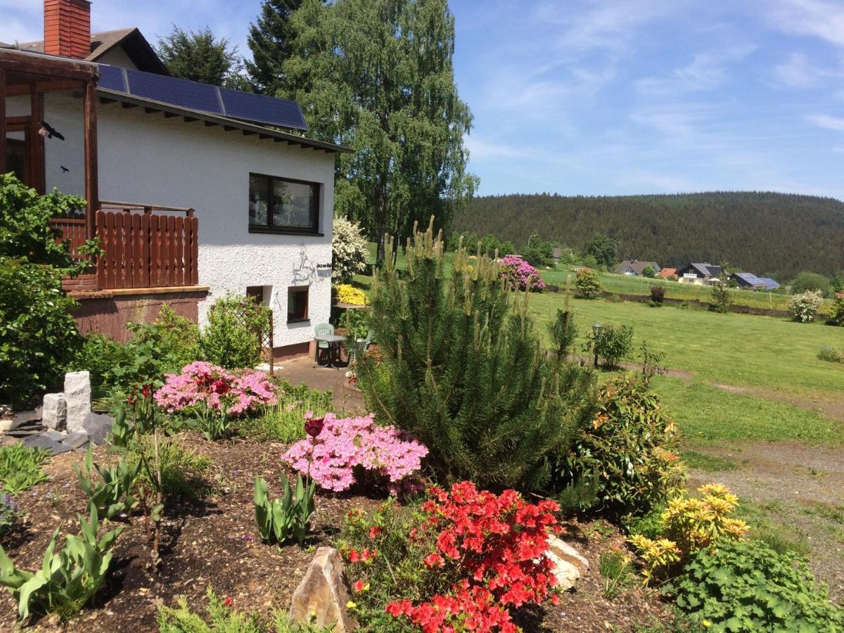 Haus Am Wald - Urlaub Am Nationalpark Lejlighed Langweiler  Eksteriør billede