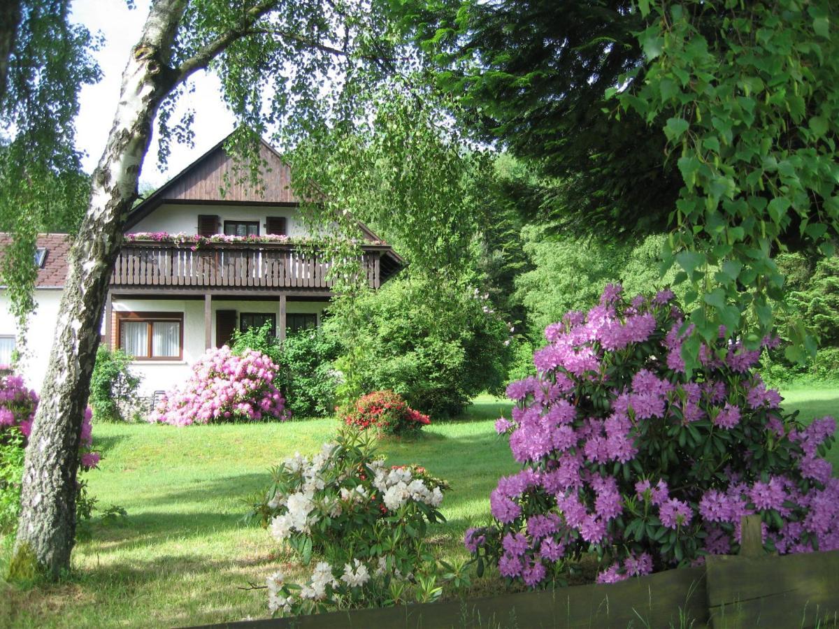 Haus Am Wald - Urlaub Am Nationalpark Lejlighed Langweiler  Eksteriør billede